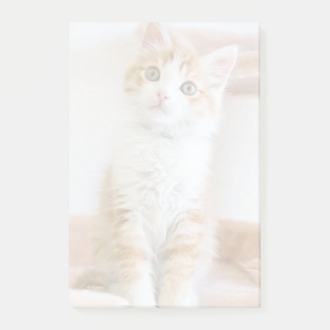 Sweet Blue Eyed Kitty Post-it Notes (Front)