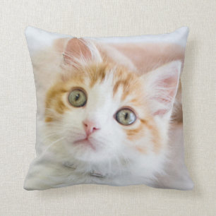 Sweet Blue Eyed Kitty Throw Pillow