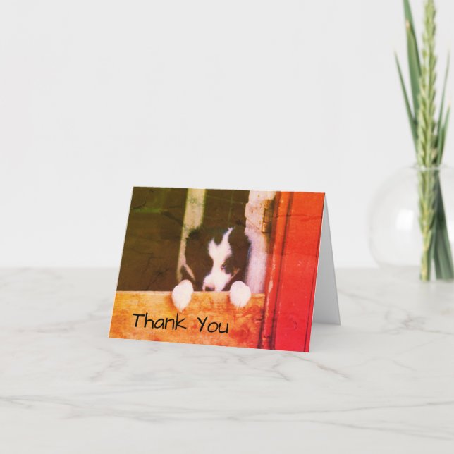 Sweet Border Collie Chien Chien Carte de remerciem (Devant)