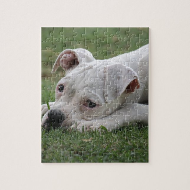 Sweet Boxer Puppy Jigsaw Puzzle (Vertical)