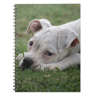Sweet Boxer Puppy Notebook
