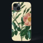 Sweet Briar Rose iPhone 13 Case<br><div class="desc">Floral</div>
