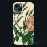 Sweet Briar Rose iPhone 13 Case<br><div class="desc">Floral</div>