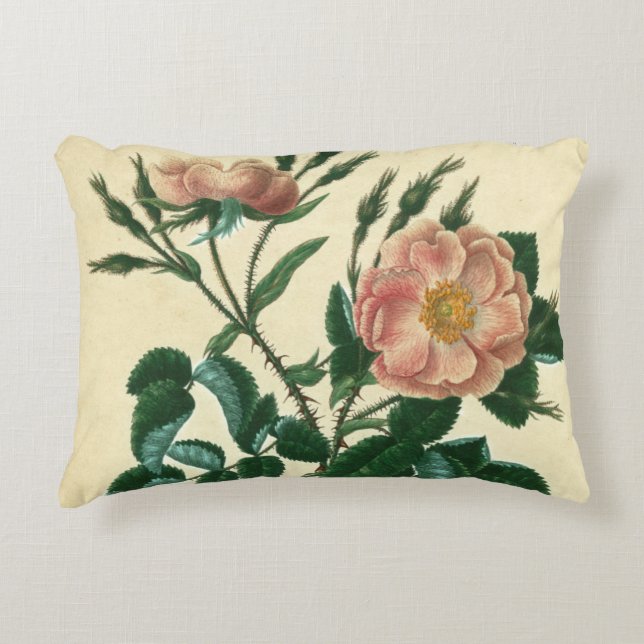 Sweet Briar Rose Decorative Pillow (Front)