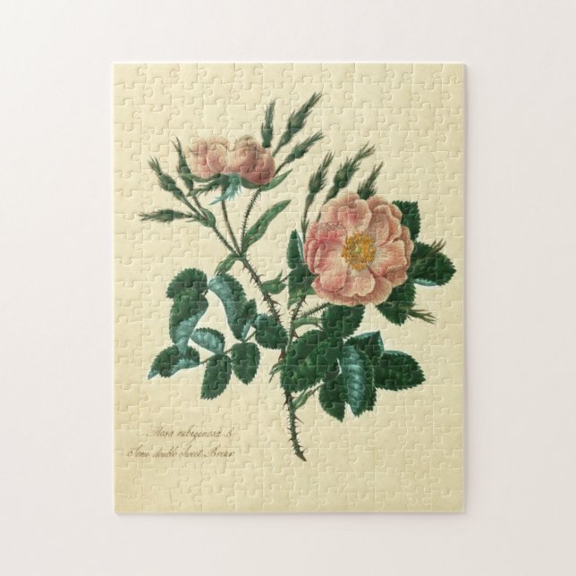 Sweet Briar Rose Jigsaw Puzzle (Vertical)