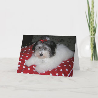 SWEET BROOKLYN NOTE CARDS