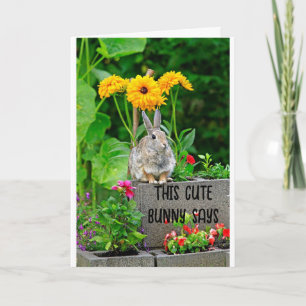 SWEET BUNNY FOR **SWEET 16** BIRTHDAY CARD