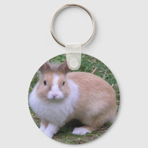 sweet bunny keychain