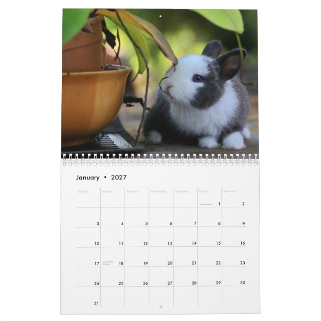 Sweet Bunny Rabbits 2024 Calendar (Jan 2027)