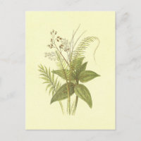 Sweet Cane & Cinnamon Vintage Lithograph