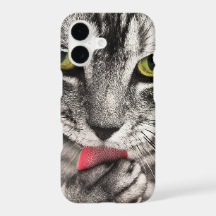 Sweet Cat