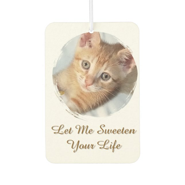 Sweet Cat Photo,  Text, Replaceable, Air Freshener (Front)