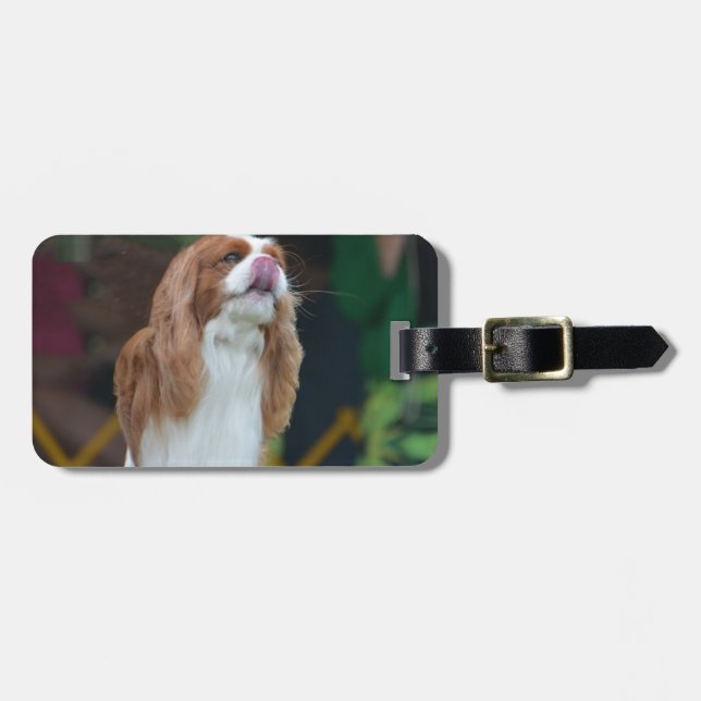 Sweet Cavalier King Charles Spaniel Luggage Tag (Front Horizontal)