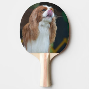 Sweet Cavalier King Charles Spaniel Ping Pong Paddle