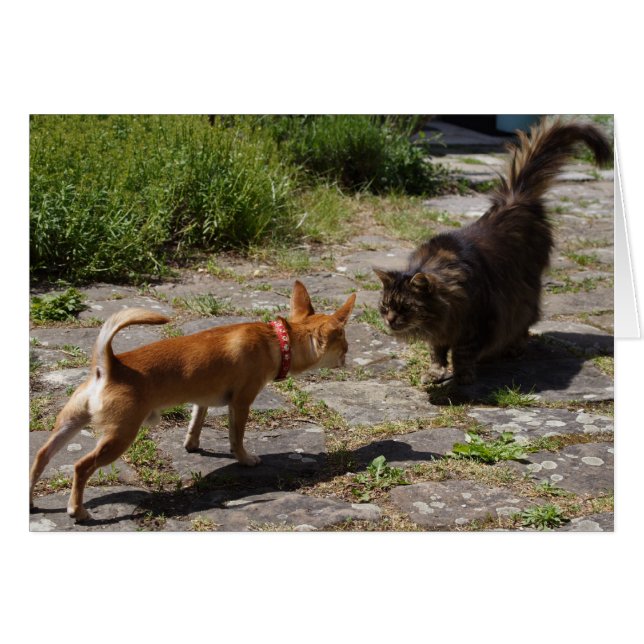 Sweet Charlie Chihuahua (Front Horizontal)