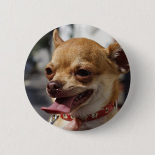 Sweet Charlie Chihuahua 2 Inch Round Button
