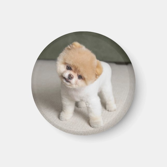 Sweet Charming Pom Unique Magnet (Front)
