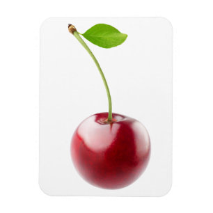 Sweet cherry magnet