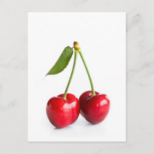 Sweet cherry postcard