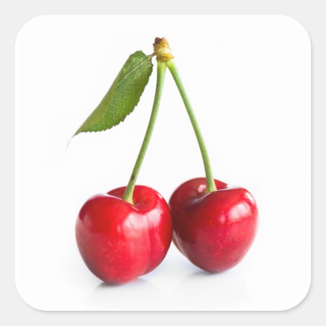 Sweet cherry square sticker (Front)