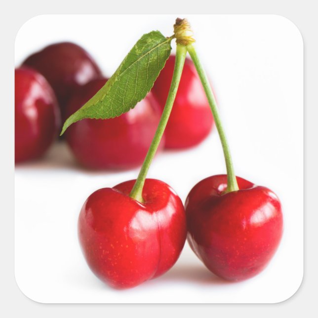 Sweet cherry square sticker (Front)