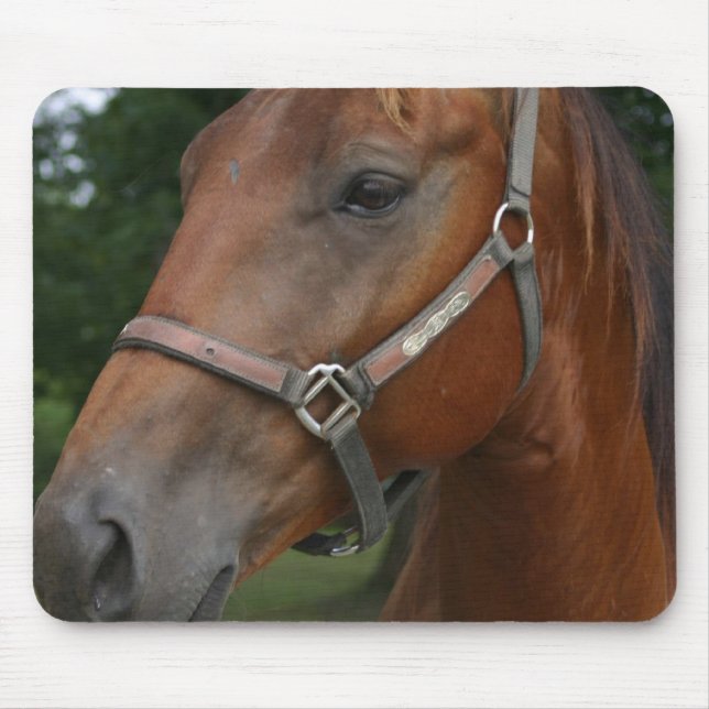 Sweet Chestnut Horse Mouse Pad (Front)