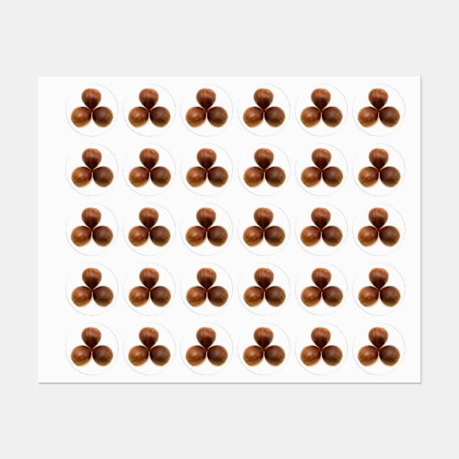 Sweet chestnuts fruits (Sheet)