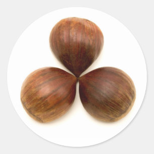 Sweet chestnuts fruits classic round sticker