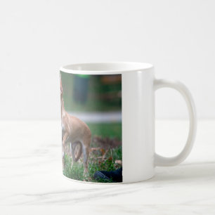 Sweet Chihuahua Puppy Gundog Wannabe Coffee Mug
