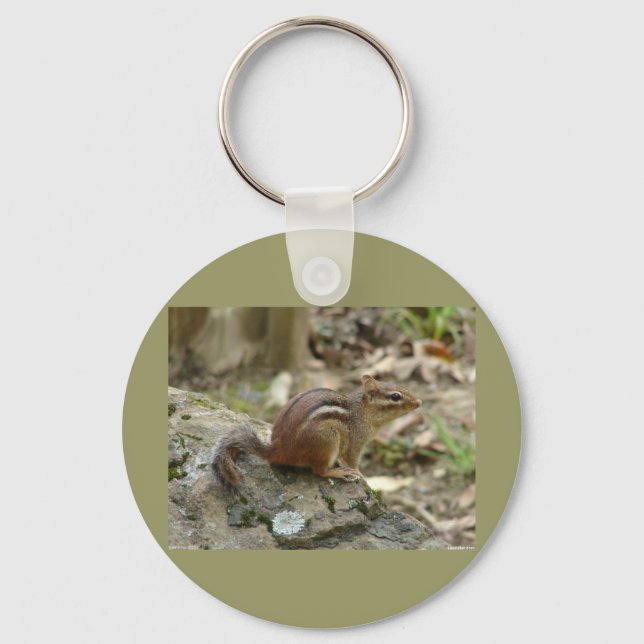 Sweet Chipmunk Hot Springs National Park Gifts Keychain (Front)