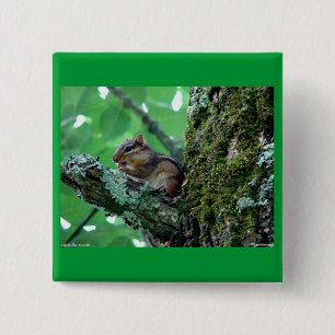 Sweet Chipmunk in a Tree Apparel and Gifts 2 Inch Square Button