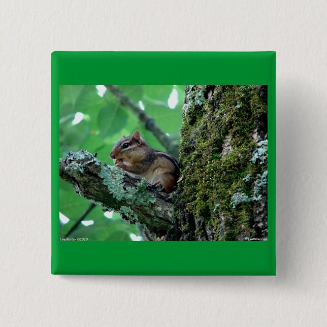 Sweet Chipmunk in a Tree Apparel and Gifts 2 Inch Square Button (Front)