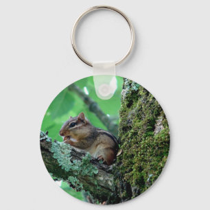 Sweet Chipmunk in a Tree Apparel and Gifts Keychain