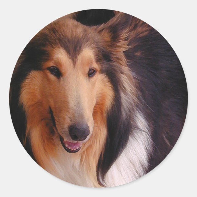 Sweet Collie Classic Round Sticker (Front)