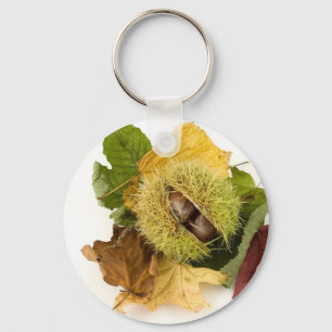 Sweet Conker With Leaves Keychain