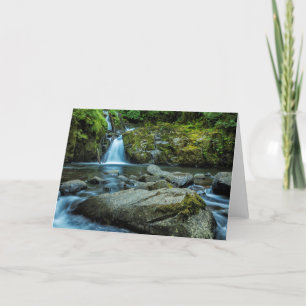 Sweet Creek Falls Card