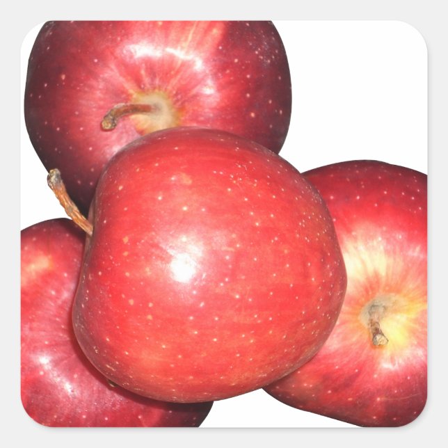 Sweet & Crisp Red Apples - Organic Fruit Print Square Sticker (Front)