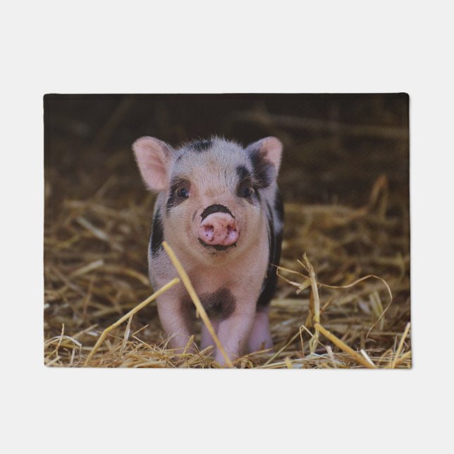 Sweet Cute Pig Doormat (Front)