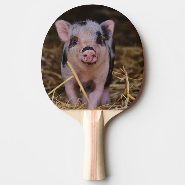 Sweet Cute Pig Ping Pong Paddle (Front)