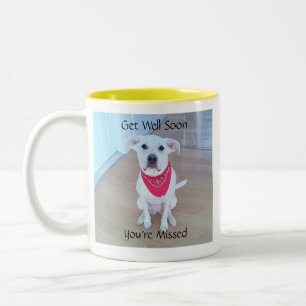 Sweet Cute Puppy Dog Soulful Face Get Well Soon Two-Tone Coffee Mug