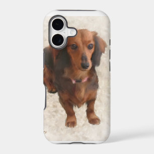 SWEET DACHSHUND