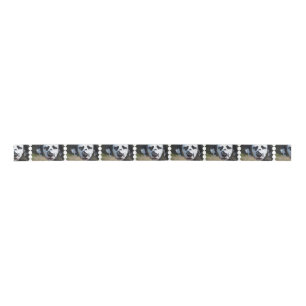 Sweet Dalmatian Pup Satin Ribbon