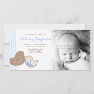 Sweet Damask Chicks Baby Boy Birth Announcement
