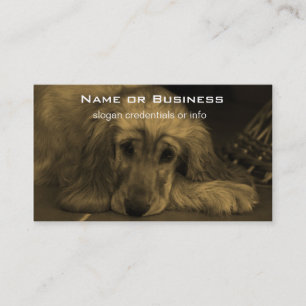Sweet Dog - Golden Retriever in Sepia Tones Business Card