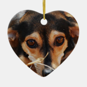 Sweet dog laying in hay ceramic ornament