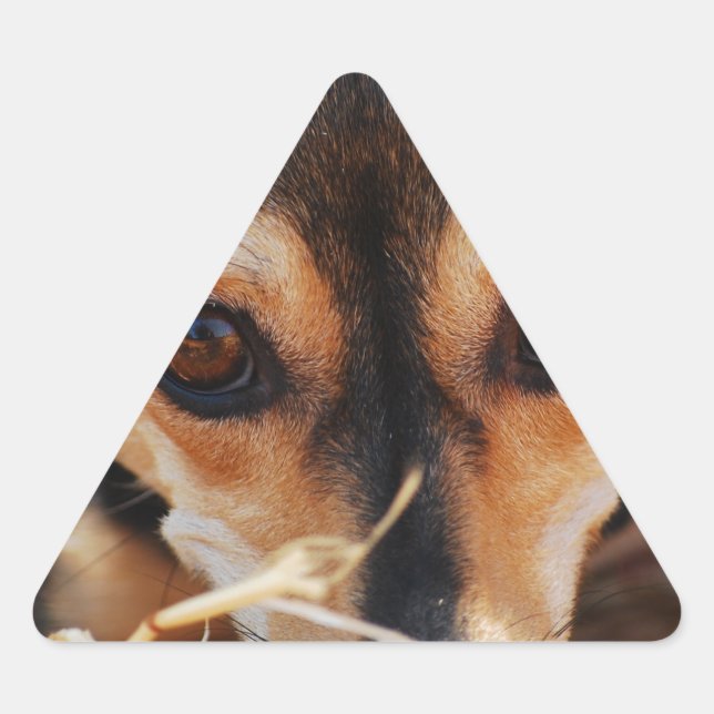 Sweet dog laying in hay triangle sticker (Front)