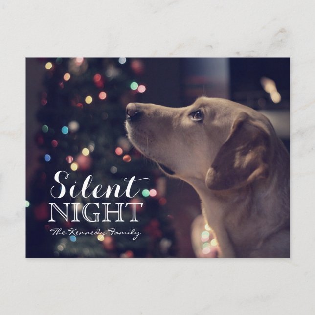 Sweet Doggie Looking At Tree Postcard (Front)