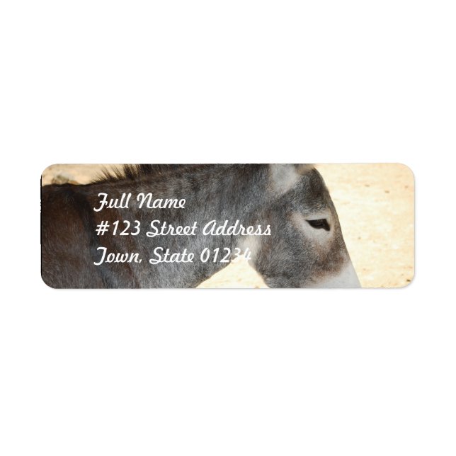 Sweet Donkey (Front)
