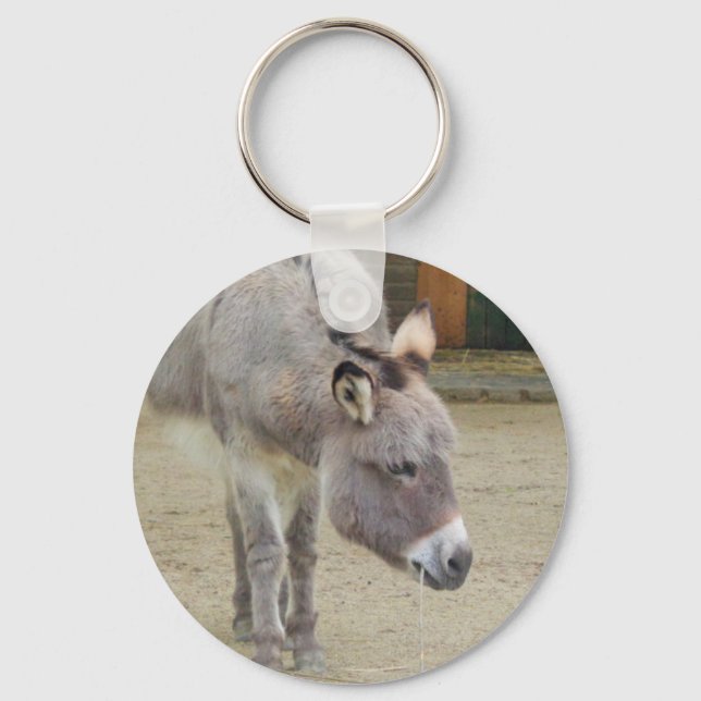 Sweet Donkey, Animal Gray, Horse Family Keychain (Front)