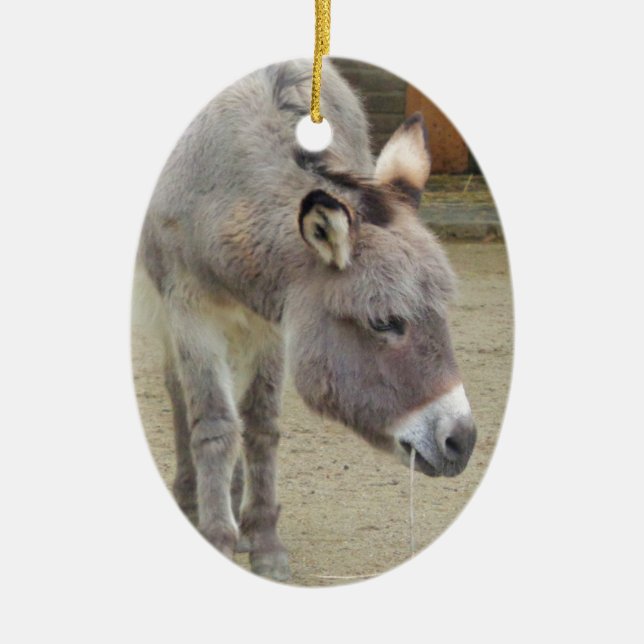 Sweet Donkey, Animal Grey, Horse Family Ceramic Ornament (Front)